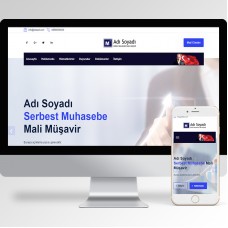 Muhasebeci Teması v1