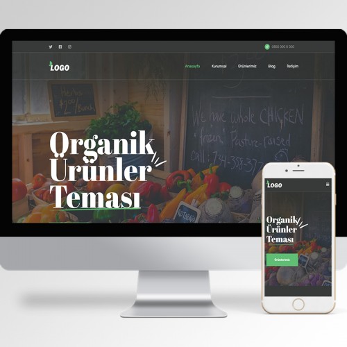 Organik Teması v6